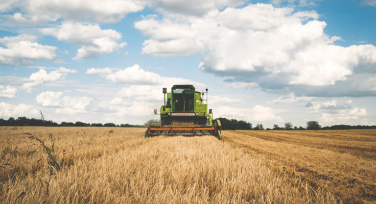 Tendências para o Agronegócio em 2025: Tecnologia e Sustentabilidade como Motores de Transformação